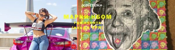 сатива Богородск
