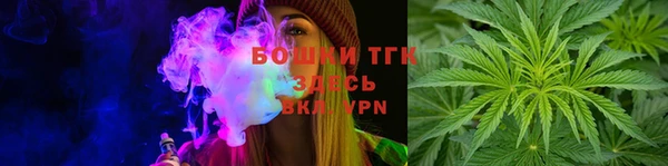 стаф Богданович