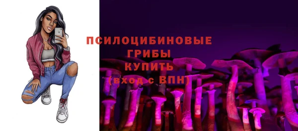сатива Богородск