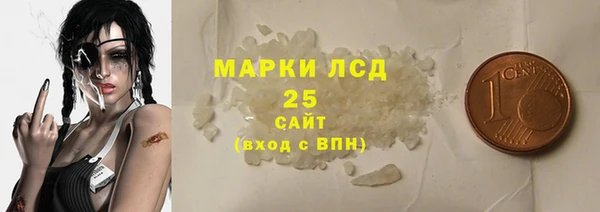 стаф Богданович