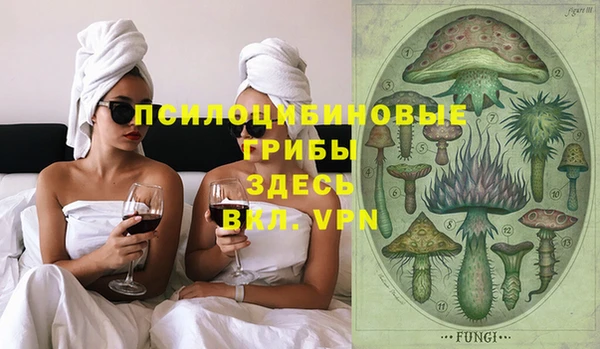 стаф Богданович