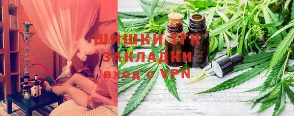 сатива Беломорск