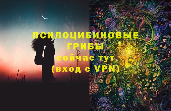 сатива Богородск