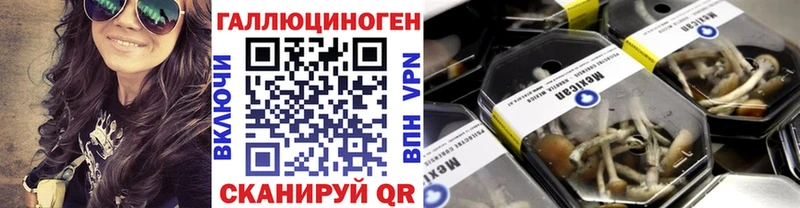 как найти   МЕГА tor  Псилоцибиновые грибы MAGIC MUSHROOMS  Верещагино 